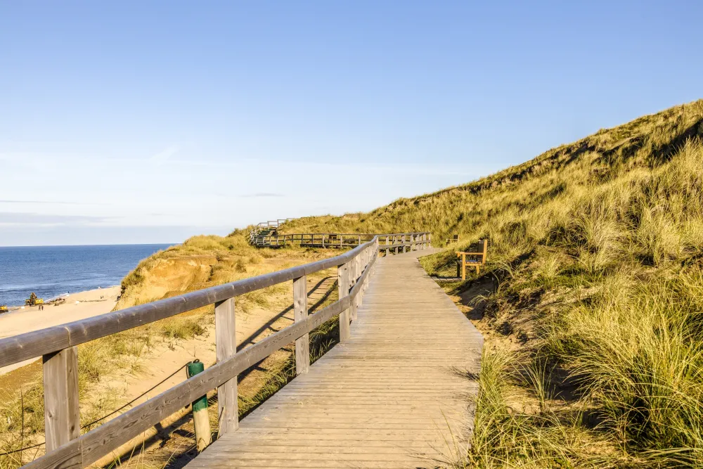 Holzweg durch die Dünen am Meer auf der Insel Sylt